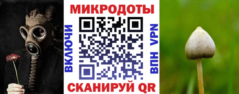 Купить закладки  Тарко-Сале  Галлюциногенные грибы Cubensis 